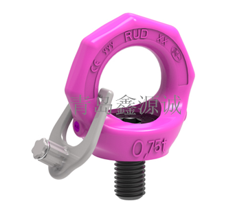 德國RUD旋轉(zhuǎn)吊環(huán)/VRS-F M12-M64進口吊環(huán)/VRS吊環(huán) M12-M64